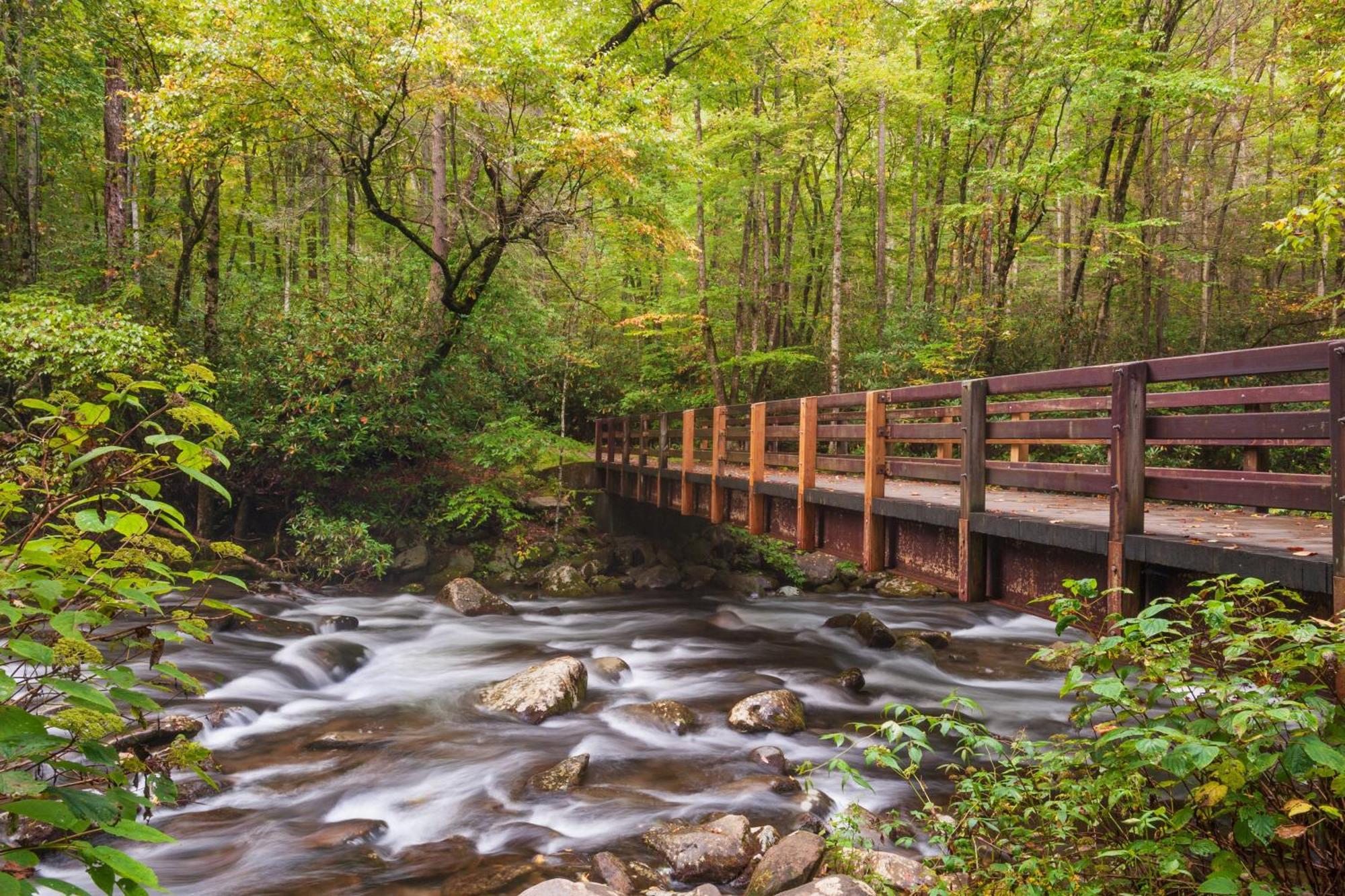 Laurel Cottage, 1089 Free Tickets Each Paid Day, Dollywood And More Sevierville Eksteriør bilde